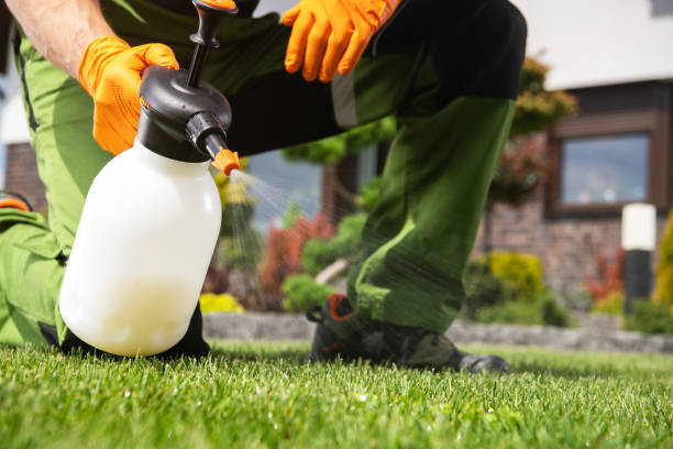 Best Pest Removal Services  in Avery Creek, NC