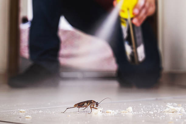 Best Residential Pest Control  in Avery Creek, NC